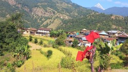 महानगरबासीलाई वडा कार्यालय पुग्नै सास्ती